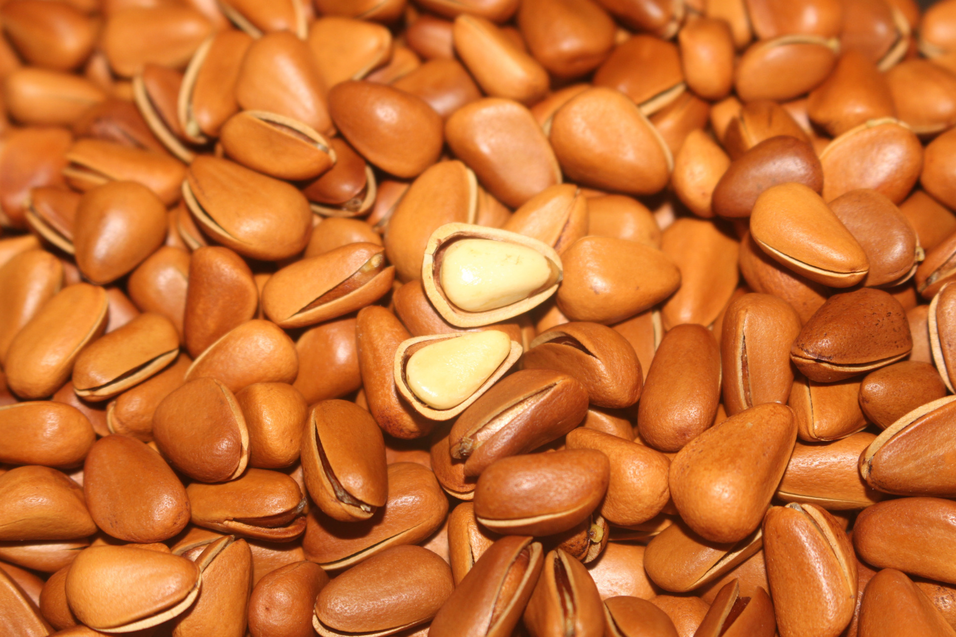 【鸿礼】2016年新货 批发东北开口松子手剥松子200g/袋 特大籽