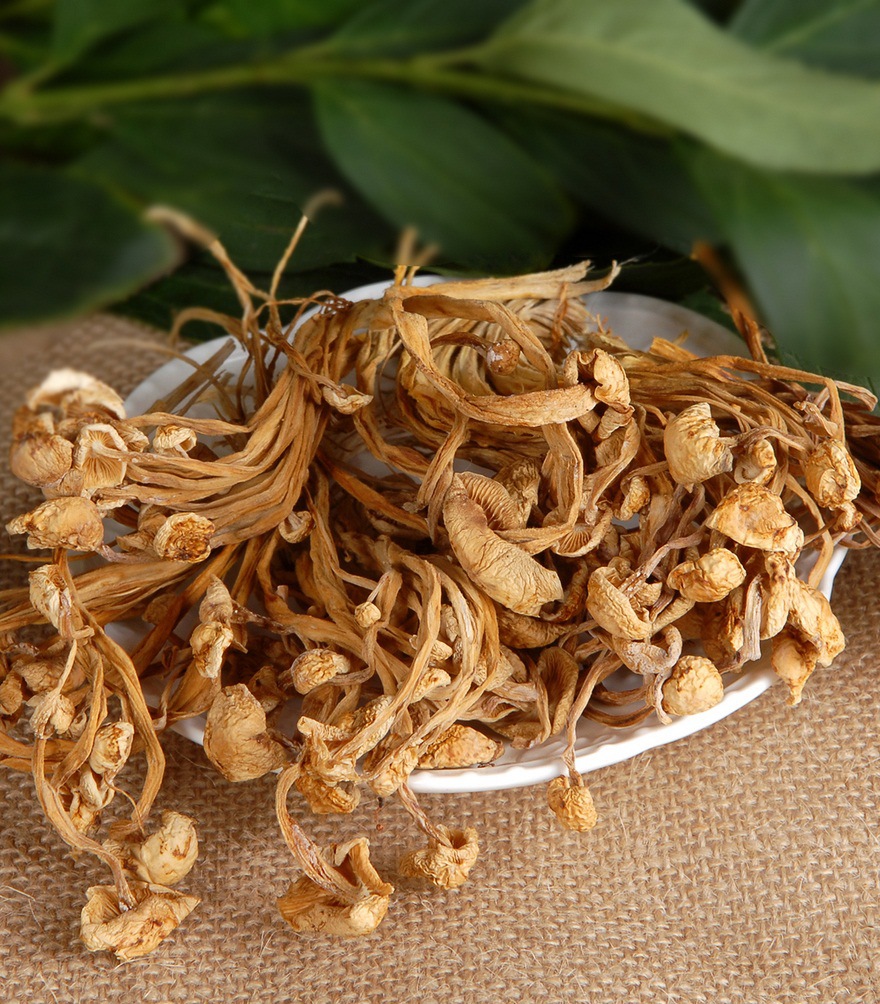 营养低价特级金针菇 干金针菇黄白 干货 批发 产地直销量大质优