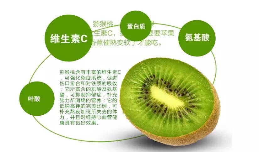现预售翠香猕猴桃奇异果猕猴桃新鲜水果试吃中果5斤一件代
