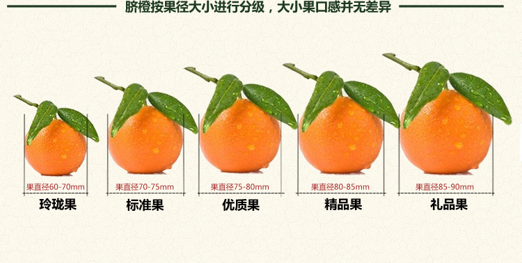 新鲜水果赣南脐橙10斤起批江西甜橙子批发产地直供