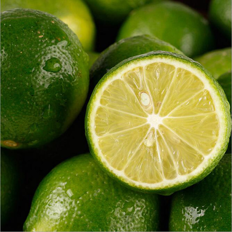 一件代发 进口越南新鲜青柠檬 新鲜青柠水果5斤装直销批发包邮