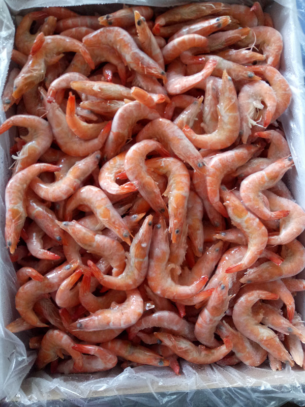 冷冻熟虾干冰红虾带头熟虾自助餐火锅酒店专用食材量大从优