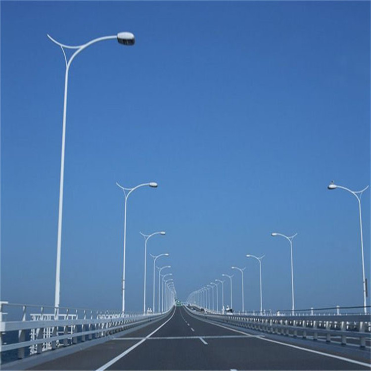 非标定制高杆路灯杆不锈钢灯杆升降式led路灯杆灯具路灯金属杆