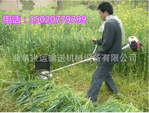 QQ图片20140708152601_副本_副本