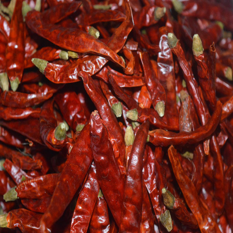 干辣椒批发 超辣特辣印度魔鬼椒 干红辣椒 印度椒500g
