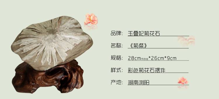 3菊花石详情介绍 - 副本