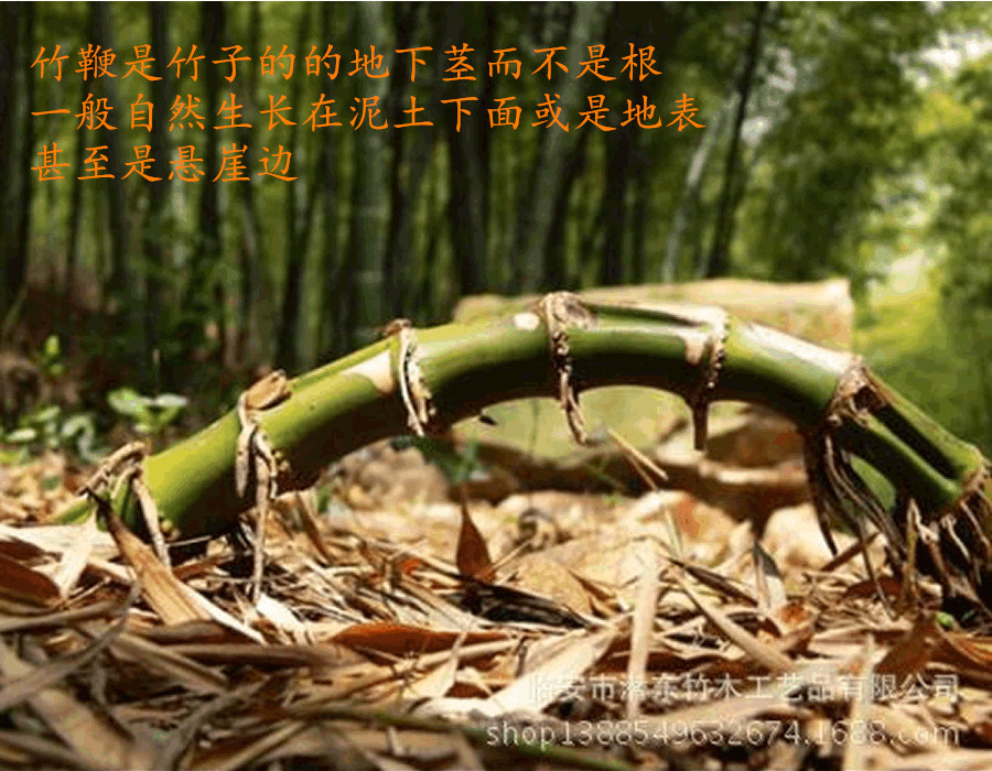 潜东竹木工创意雨伞竹鞭把手 竹根工艺品伞配件