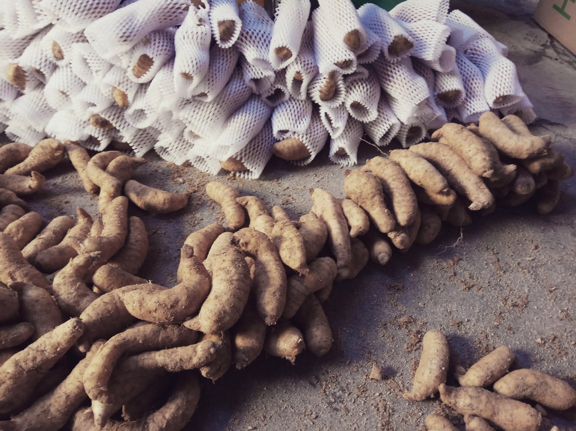 岳西大别山野生干天麻批发 优质红冬麻子可切片500克