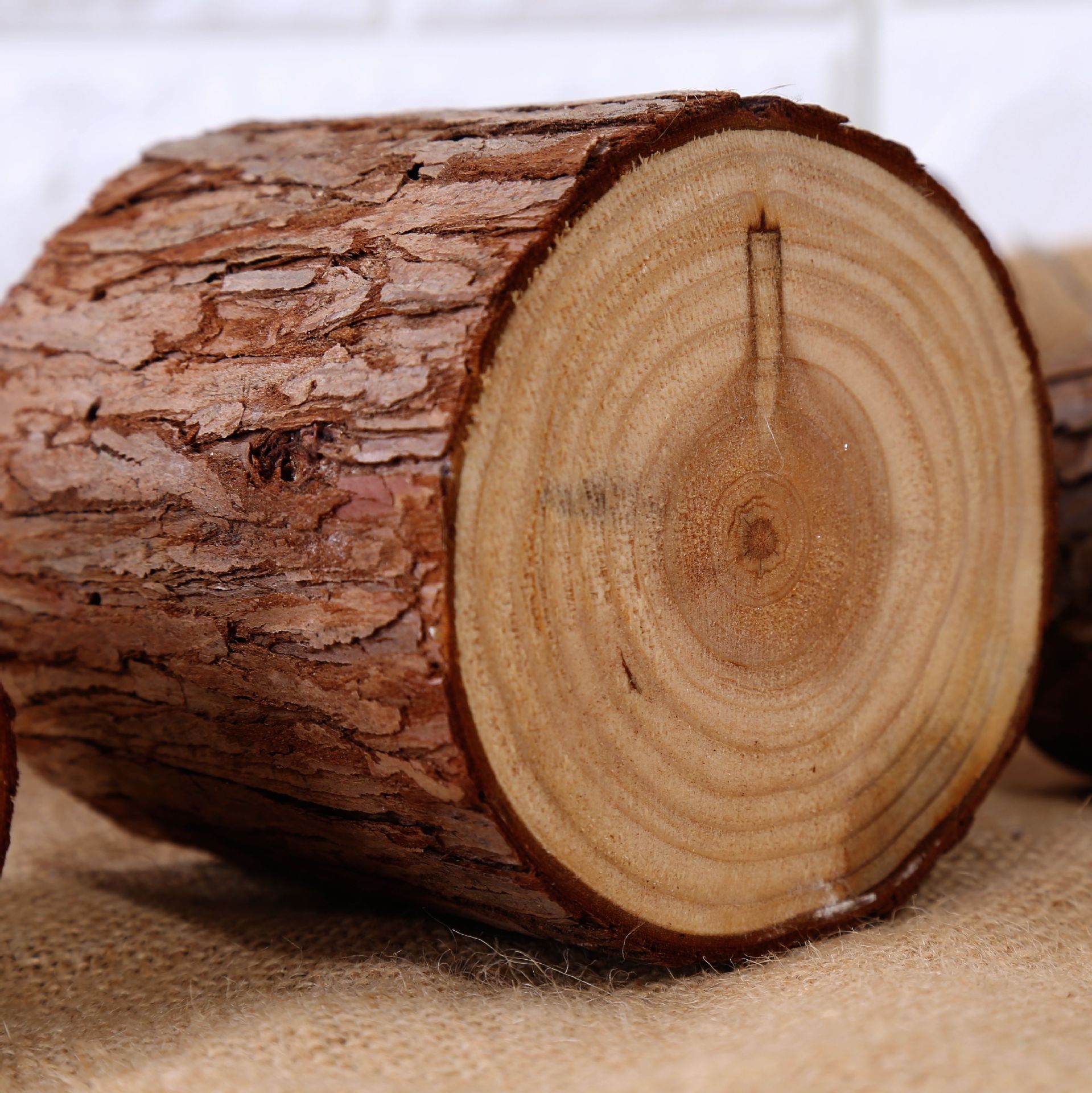 天然杉木 木桩 摆件 壁饰 实木装饰品道具