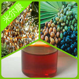 锯叶棕榈油 95%  锯叶棕榈提取物 厂家批发 现货价 1kg起