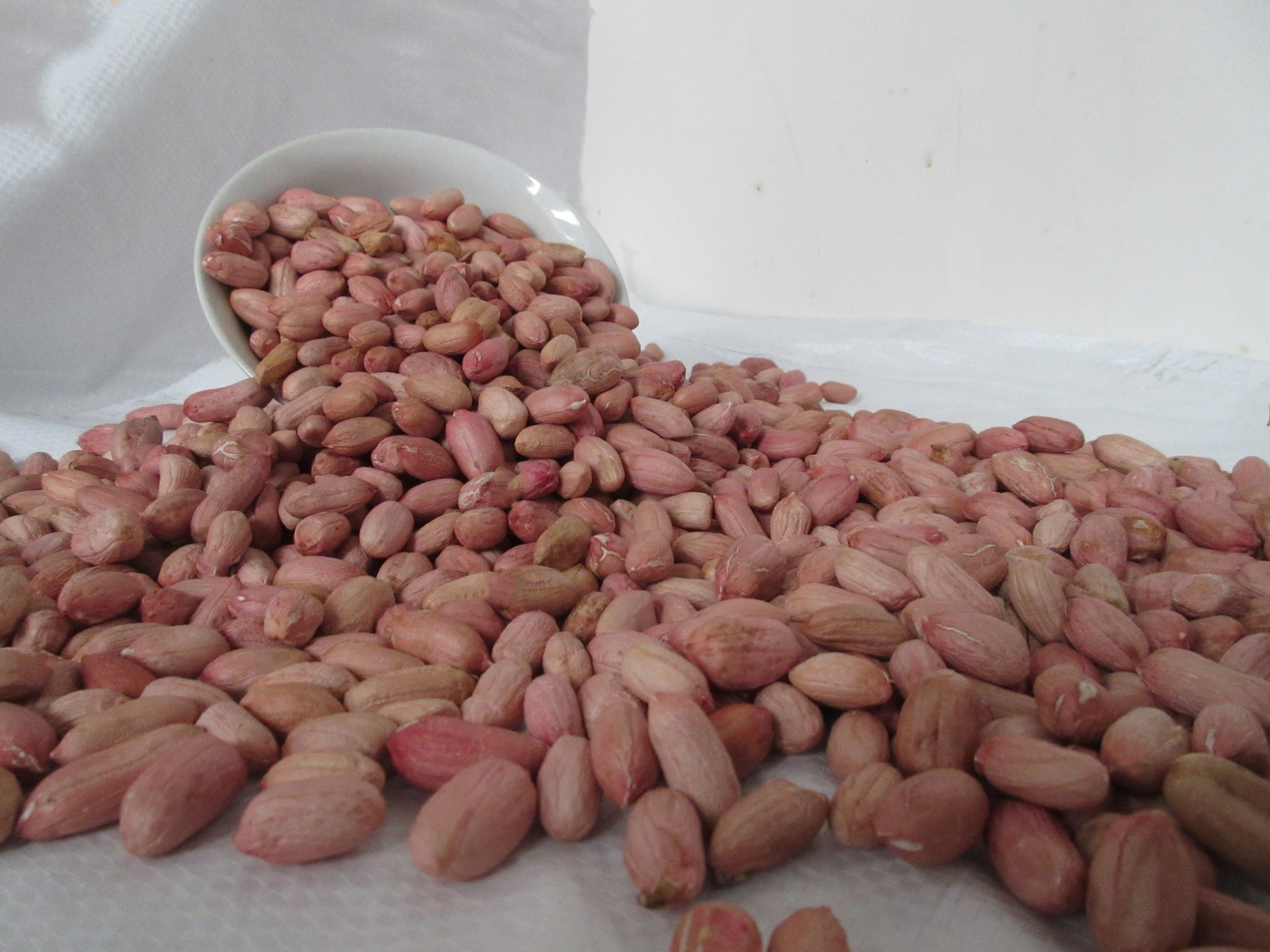 批发花生米 长粒大花生米 食品 榨油花生米 各种现货大花生米