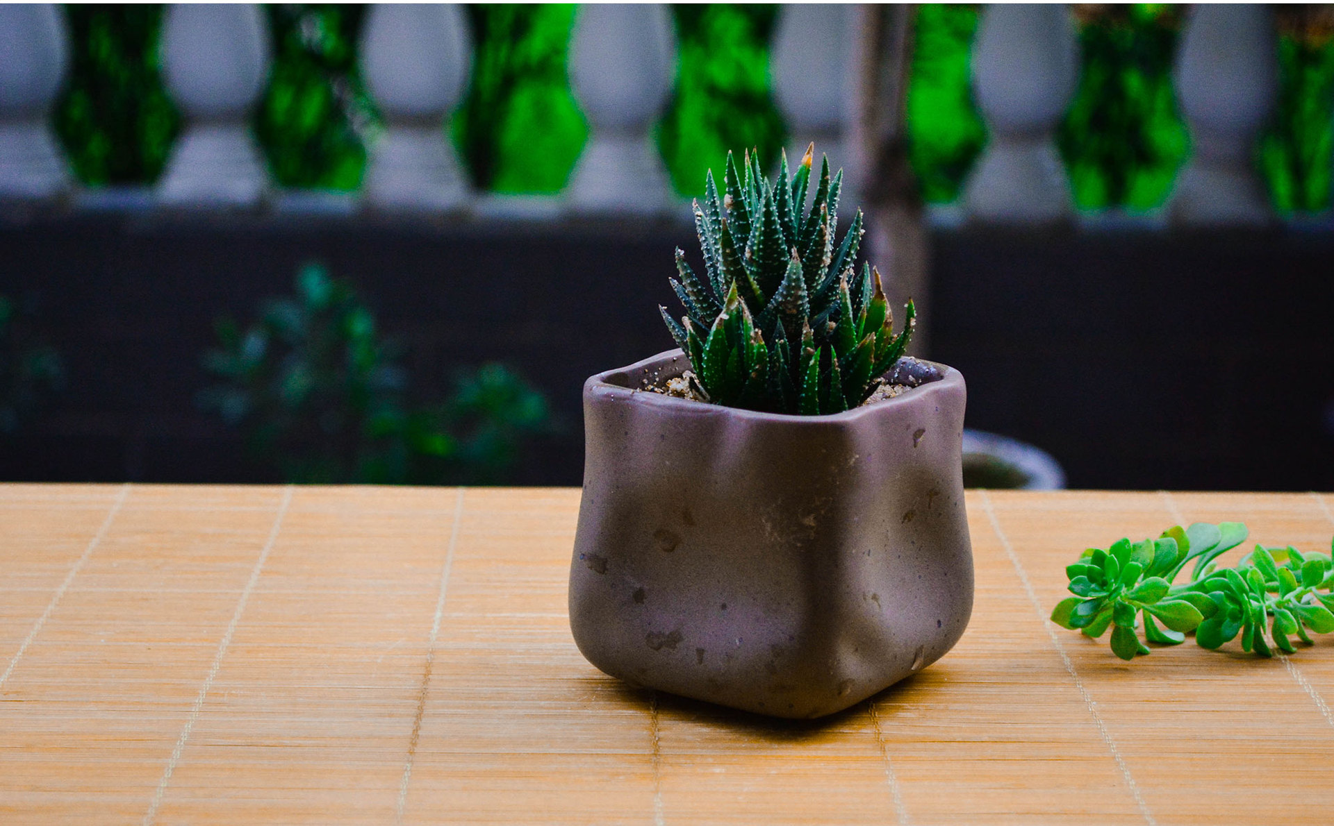 多肉黑巧克力方盆陶瓷盆栽办公桌花盆创意迷你简约工厂直供批