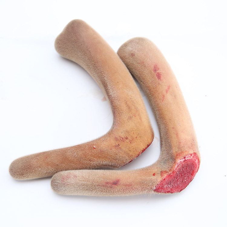 产地批发吉林鹿乡新鲜鹿茸 整枝二杠新鲜鹿茸鹿产品