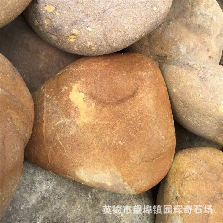 大量黄色鹅卵石现货,滤料用石,厂家批发鹅卵石,大号鹅卵石出售