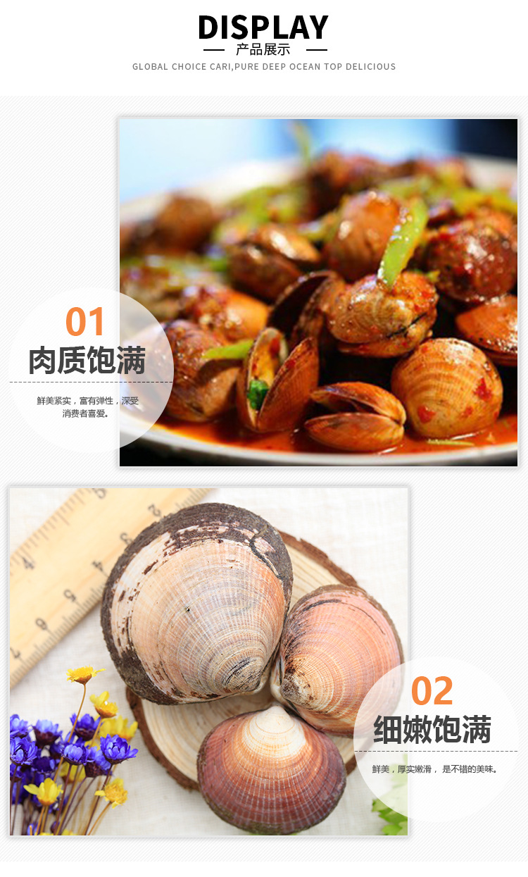 海鲜鲜活优质红贝 小贝壳鲜活饱满肉厚味道鲜美水产品批发