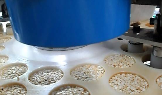 如何选购合适的米花糖机器——模具成型机