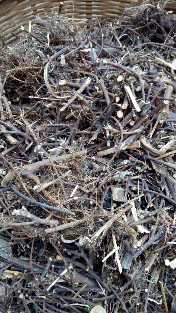 胡颓子根牛奶子根切片小叶牛乳仔 祛湿佳品炖汤辅料     宁德青木青草