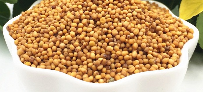 黄芥子 荆芥子 黄芥籽500克 可以免费代磨芥末粉 食用凉菜