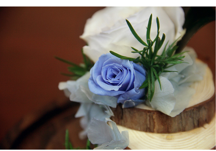 【年轮】花呆家居永生花玻璃罩家居摆件企业礼盒送礼新品批发