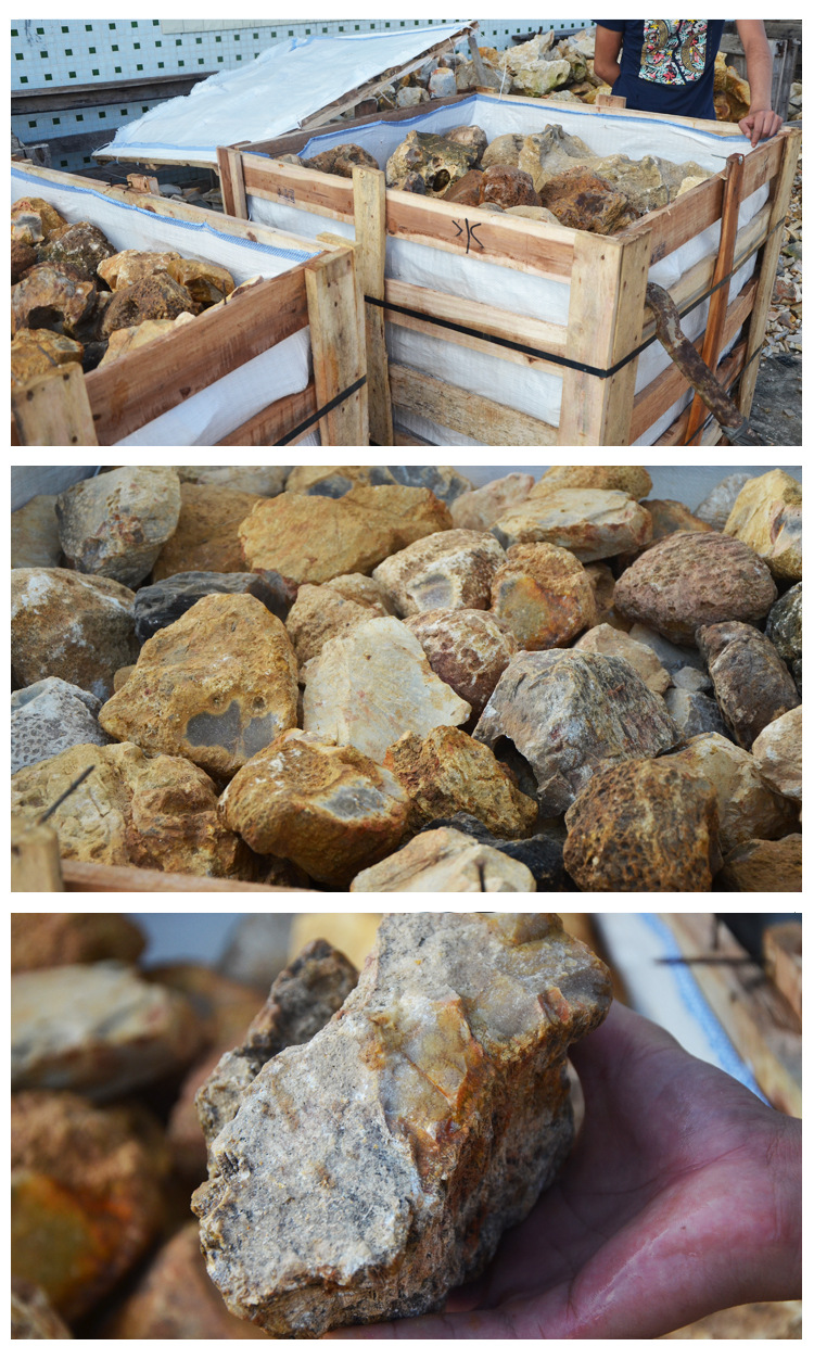 七宝尚品印尼天然珊瑚玉原矿化石菊花石珊瑚玉原石厂家直销