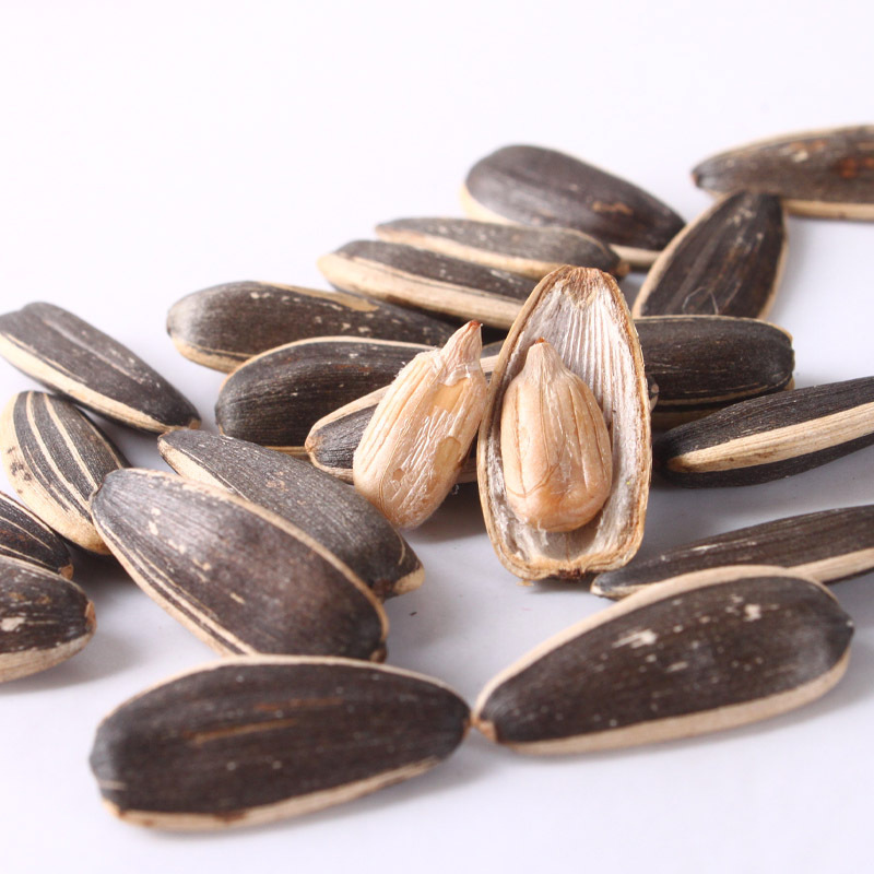 包邮 洽洽 香瓜子308g香味葵花籽葵瓜子 休闲零食品坚果炒货批发