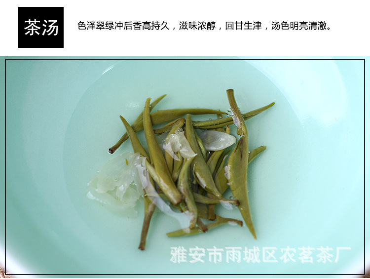 2016碧潭飘雪茉莉花茶叶蒙顶山茶叶四川特产