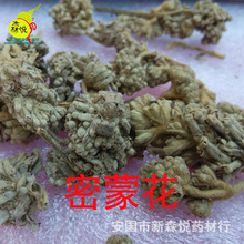 密蒙花 批发冷背中药材 蒙花珠 老蒙花 水锦花 鸡骨香头花 专药用