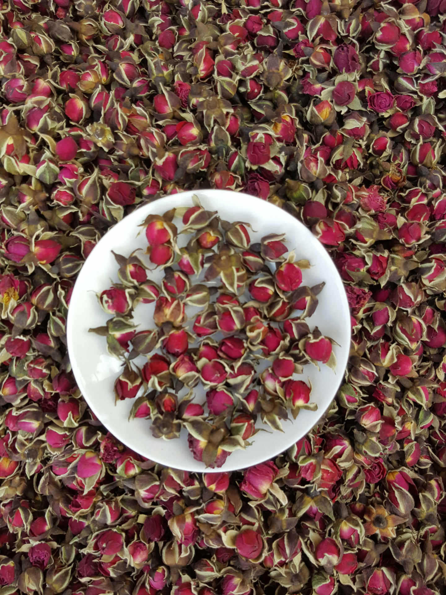 云南金边玫瑰花茶散装500克花草茶叶玫瑰干花小金边玫瑰花茶叶