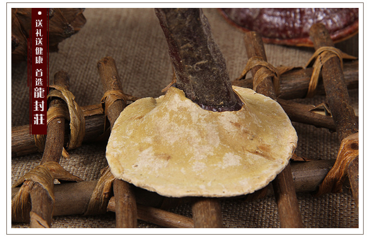 灵芝滋补品中药材产地批发直销石灵芝