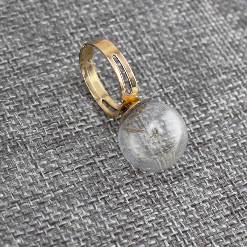 夏季爆款 合金复古个性戒指 干花玻璃瓶填充 厂家直销 一件代发