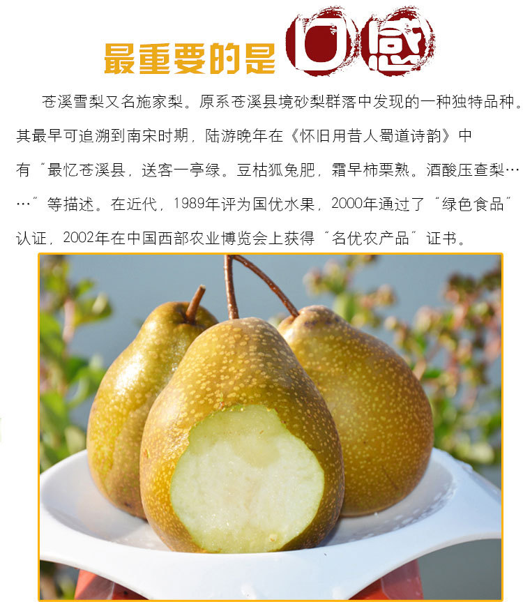 雪梨 正宗四川苍溪特产 新鲜水果苍溪雪梨 润肺佳品雪梨批发