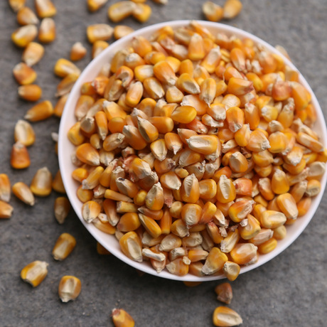 增氧雾化纯天然 临沂旭洋膨化玉米 厂家直销