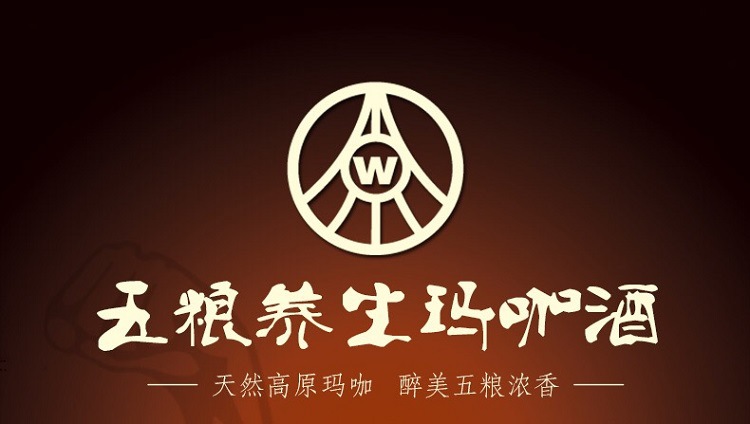 五粮液保健酒 千寻玛咖酒 养生药酒 39度500ml礼盒装浓香型白酒