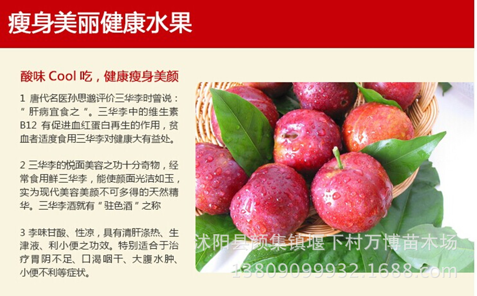 果树苗 嫁接李子树苗 黑布林 红布林当年结果2公分粗包成活 - 水果