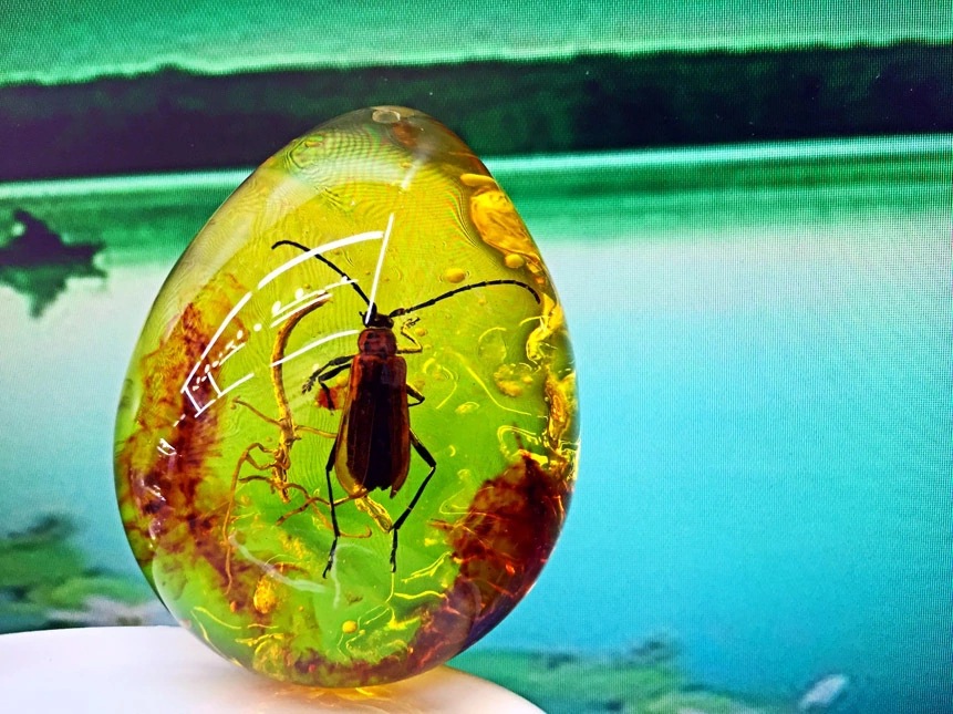 厂家跑江湖新奇特地摊荧光不浮水波罗地海蜜蜡原石天然昆虫琥珀