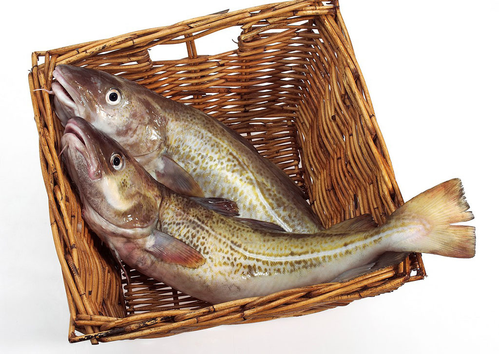 冷冻野生鳕鱼 新鲜深海海鲜雪鱼 简加工水产品北京自营 2.