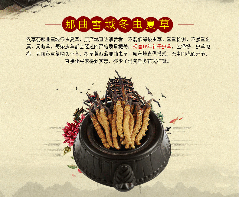 新鲜冬虫夏草批发西藏那曲冬虫夏草高原虫草规格齐全真空保鲜发货