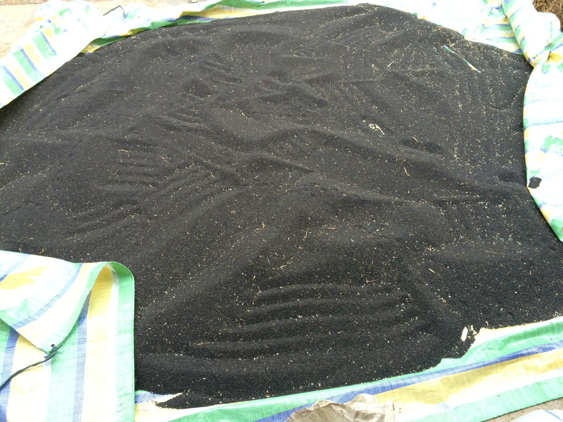 农家自种菜籽压榨植物油 食用油 菜油批发一件代发 微商货源