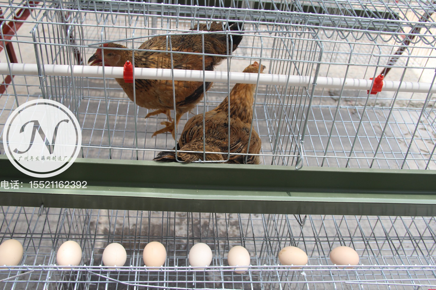 叠阶梯式三层蛋鸡笼 养殖热镀锌蛋鸡笼全套 出口非洲的鸡笼子厂家