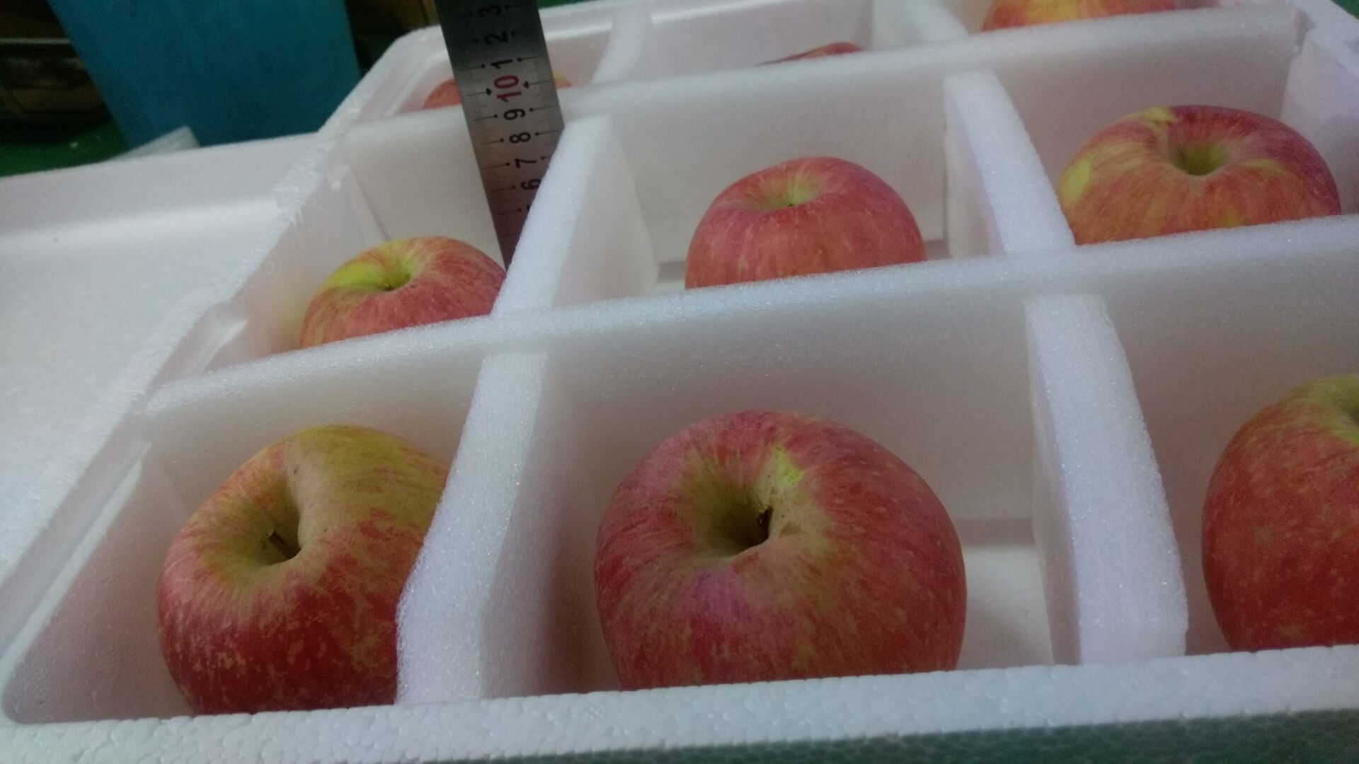 苹果泡沫箱 珍珠棉 可定制 海鲜箱加厚泡沫箱