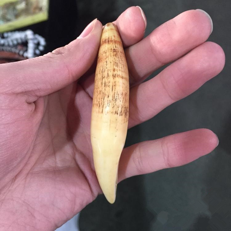 厂价批发古董地摊文玩古玩精美天然骨粉合成复古熊牙 虎牙吊坠