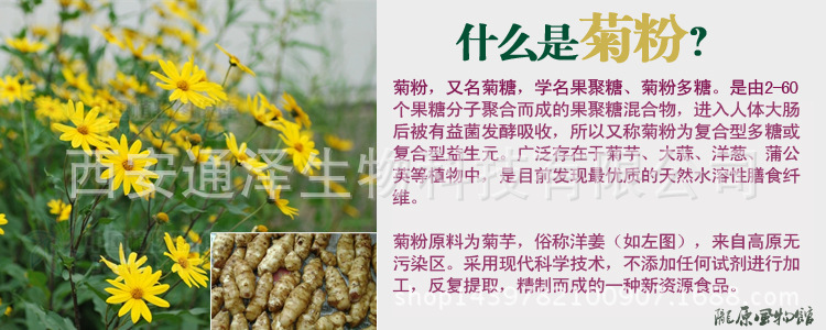 菊粉100生粉天然植物提取