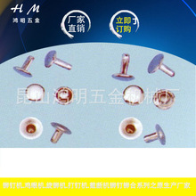 单面撞钉系列 不锈钢管钻撞钉 国际非标撞钉 圆头空心蘑菇钉帽钉