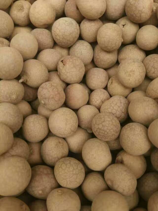 龙眼桂圆农家非无核桂圆肉广西博白地标特产桂圆龙眼五斤包邮