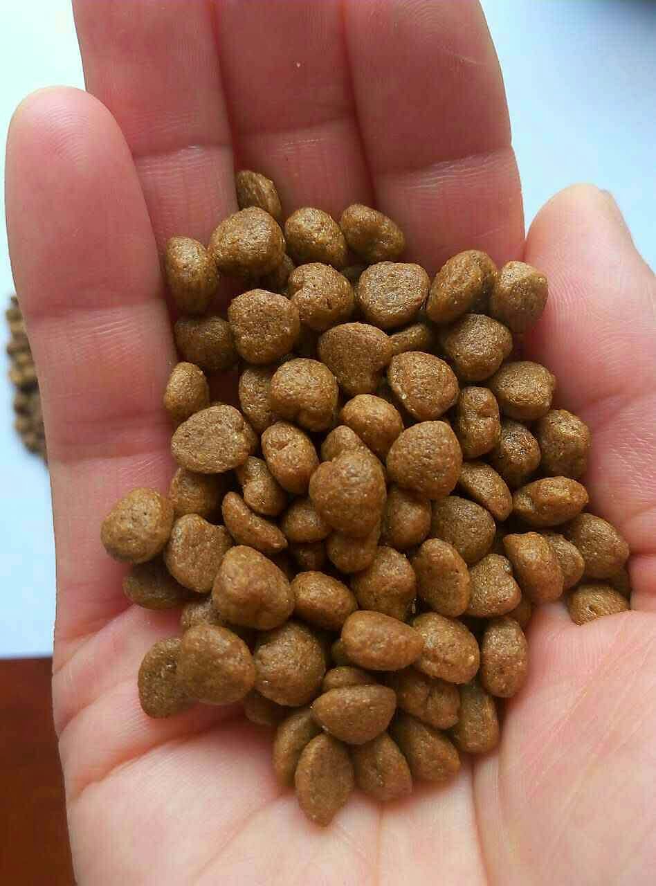 狼族20kg40斤成犬幼犬狗粮金毛犬粮德牧萨摩边牧中大型犬通用狗粮