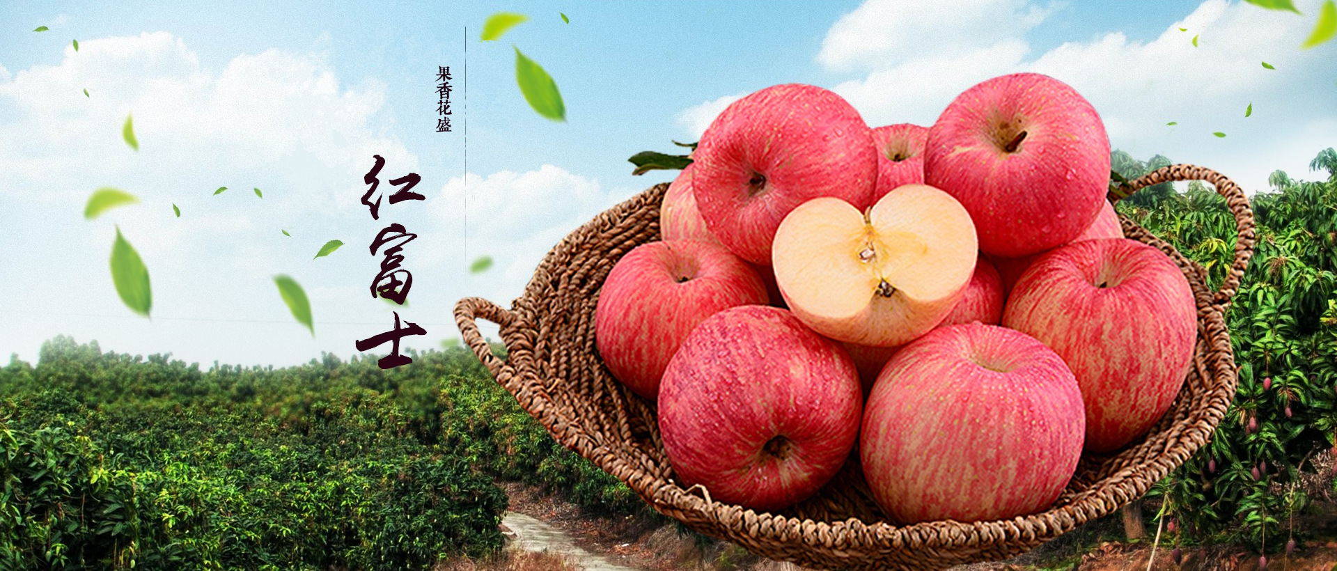 陕西洛川红富士苹果 约8斤12个装包邮礼盒新鲜水果 平安果