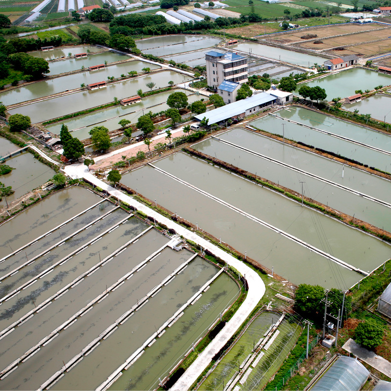 嘉善县美华水产养殖场自1993年开始创办,养殖基地位于沪杭高速大