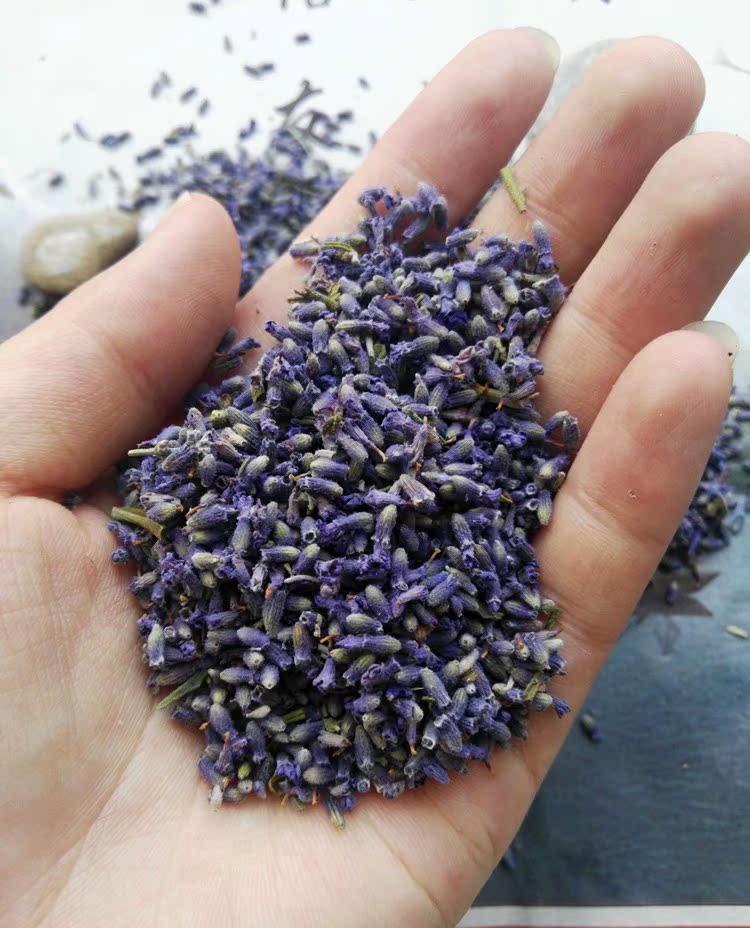 【产地直供】法国蓝特a级薰衣草干花无杂质熏衣草花籽 干花粒填充