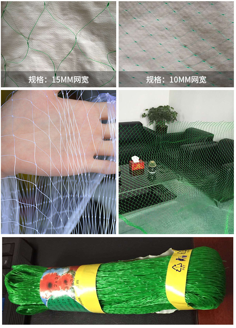 果园果树葡萄园防鸟网 出口聚乙烯防鸟网 大棚塑料防鸟网爬藤网