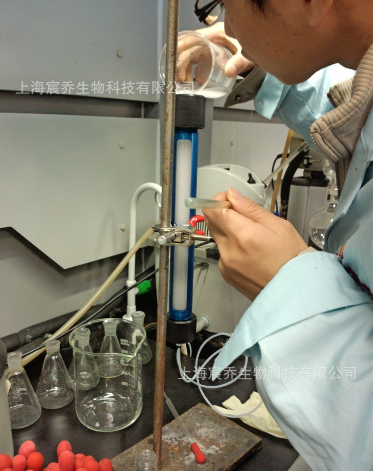 人参农残中凝胶渗透色谱柱400mm&times;25mm 内装bio-beadss-x3填料